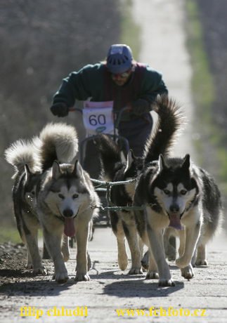 Hustopece 08 - 212.JPG